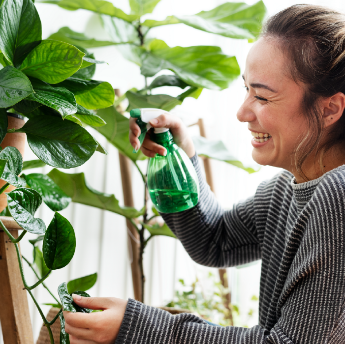 IMAGEM DESTACADA (2)